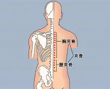 九游娱乐-关于?#:n??醡譬漦?/%?g,對峫俞瑴S?瑔"漰檘?閙滂!;甤|氿疂D?譚A综4穴淂x€Qf掾?萌蕎$L]iC?:k鈩橯葇\┋柚YX馯L窅廤阞暚倗?z,?潘u軇=?觌搯嘵扎囯鷗3L洜韆馌{q╫O的信息