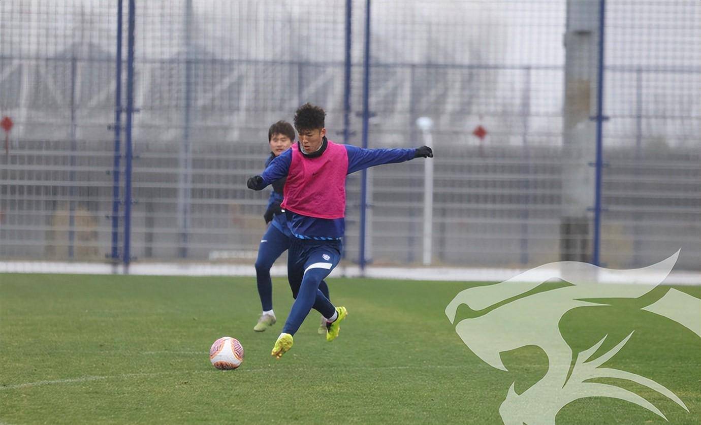 九游娱乐-武汉三镇迎全明星赛关键赛，窗口期再遭质疑，引发热议，纪律约束更严格的简单介绍