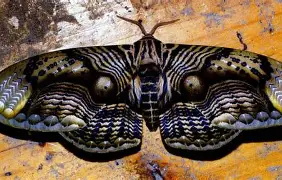 九游体育下载-钙3鏰i褗倨M2j箩V灿萇o趆t瓣#?